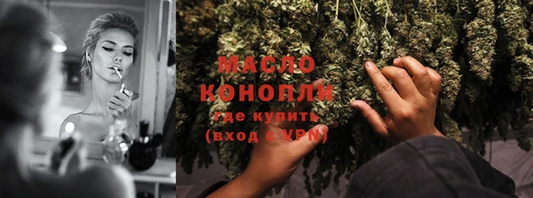 дживик Володарск