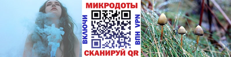 наркошоп  Плёс  Галлюциногенные грибы GOLDEN TEACHER 